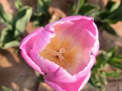 -廊坊文化艺术中心