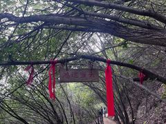 -云丘山景区