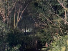 -青城道汤池