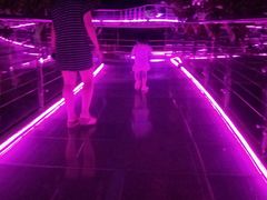 -广州花之恋城堡酒店