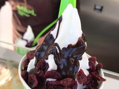 -Salud撒露欧洲冻酸奶(蓝色港湾店)