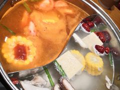 鸳鸯锅-呷哺呷哺 黄金牧场 (回龙观港龙店)