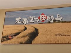 -杨厨的田园饭店(长城路店)