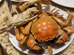 -禾斗海鲜自助(市南银座店)