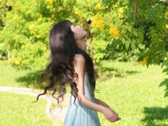 -深圳国际园林花卉博览园