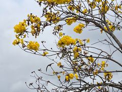 -白石龙音乐公园