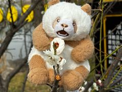 -栾川竹海野生动物园