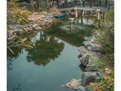 -顺峰山公园