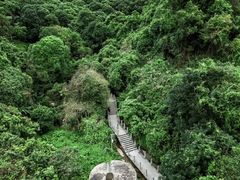 -阳台山森林公园