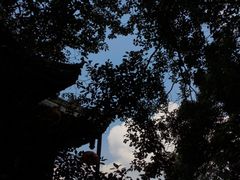 -成都老君山