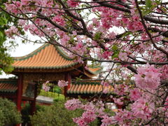 -宝墨园景区