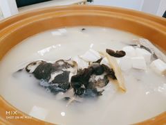 姜君千岛湖鱼头-姜君·千岛湖鱼头馆(浦东大道店)