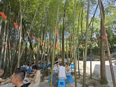 -金水泊山庄·花椒鸡(铁山坪店)