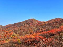 -北京西山国家森林公园