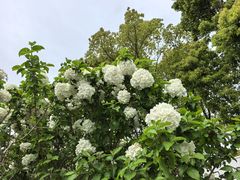 -嘉北郊野公园