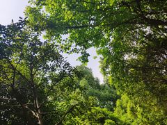-三岔湖景区