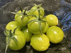 -鱼鲜饭香·招牌汽锅剁椒鱼头王