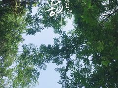 -尚贤河湿地