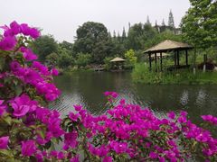 -成飞公园