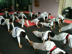 android_upload_pic-金翼跆拳道巴西柔术拳击格斗学院