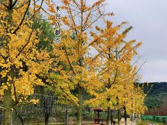 -长兴八都岕景区
