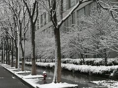 -同济大学(嘉定校区)