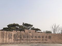 -盘龙城国家考古遗址公园