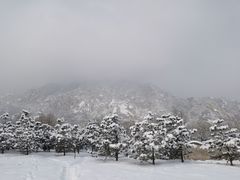 -北京凤凰岭