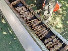 -尚庄度假村·庭台树下·户外烧烤·团建CS·轰趴营地(上庄水库店)