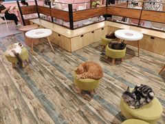 -喵匠猫主题咖啡(凯德和平广场店)
