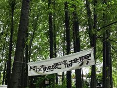 -林间山庄