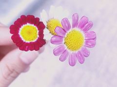 -青岛海尔洲际酒店