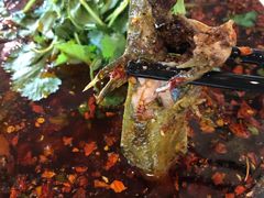 -胖大姐黄辣丁鱼庄(新津店)