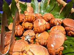 -初色海鲜自助(万丰路店)