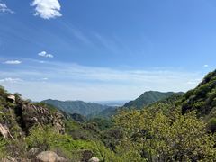 -大岭沟猕猴桃谷风景区