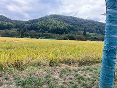 -南北湖风景区