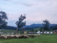 -新疆那拉提国家旅游度假区