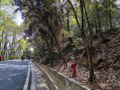-岳麓山风景名胜区