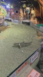 -Zoolung Zoolung动物主题公园(海信广场店)