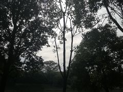 -东莞植物园