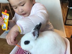-藦茜花园宠物主题亲子互动体验馆(国顺东路店)