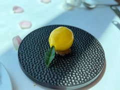 -翡翠36餐厅(浦东香格里拉店)