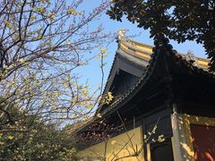 -常熟方塔园