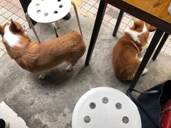 -小梁哥云吞面(黄贝岭店)
