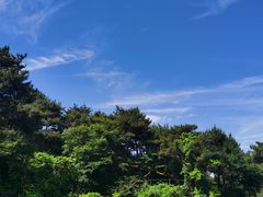 -鲁山国家森林公园