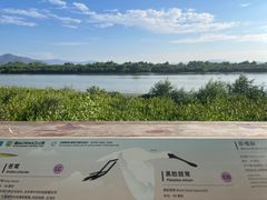 -福田红树林生态公园