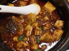 -陈麻婆豆腐总店