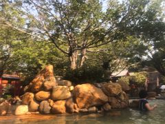 -御温泉·大餐庙会