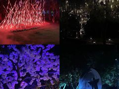 -茅山东方盐湖城景区