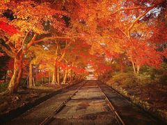 -醍醐寺